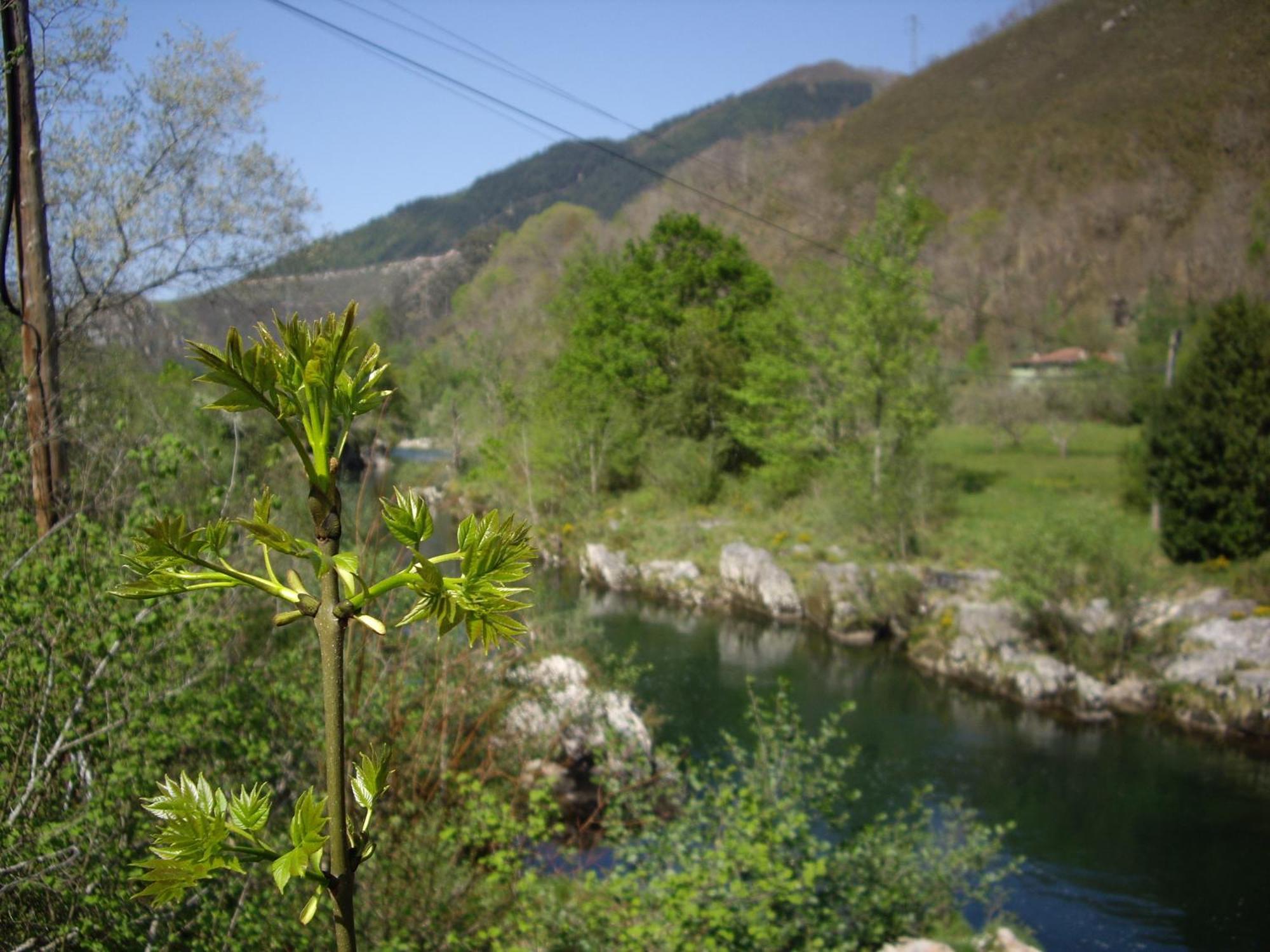 Casa Rural El Canton Onís Zewnętrze zdjęcie