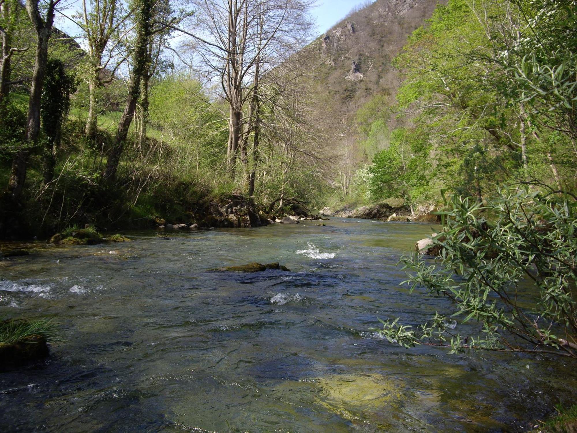 Casa Rural El Canton Onís Zewnętrze zdjęcie
